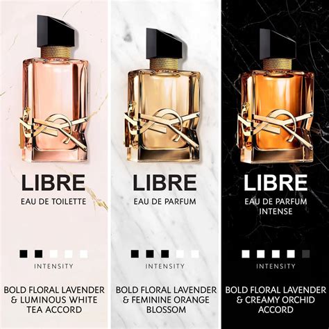 perfumes similar to ysl y|which ysl libre is better.